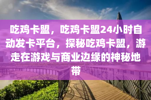 吃鸡卡盟，吃鸡卡盟24小时自动发卡平台，探秘吃鸡卡盟，游走在游戏与商业边缘的神秘地带