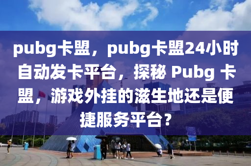 pubg卡盟，pubg卡盟24小时自动发卡平台，探秘 Pubg 卡盟，游戏外挂的滋生地还是便捷服务平台？