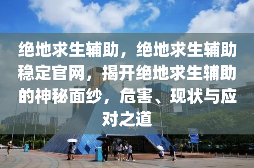 绝地求生辅助，绝地求生辅助稳定官网，揭开绝地求生辅助的神秘面纱，危害、现状与应对之道