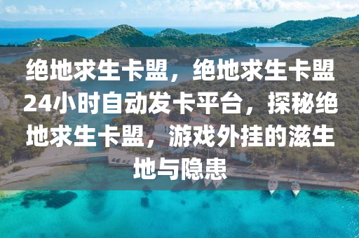 绝地求生卡盟，绝地求生卡盟24小时自动发卡平台，探秘绝地求生卡盟，游戏外挂的滋生地与隐患