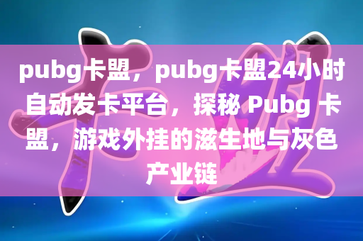 pubg卡盟，pubg卡盟24小时自动发卡平台，探秘 Pubg 卡盟，游戏外挂的滋生地与灰色产业链