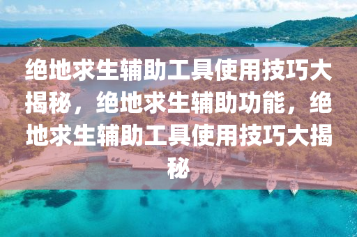 绝地求生辅助工具使用技巧大揭秘，绝地求生辅助功能，绝地求生辅助工具使用技巧大揭秘
