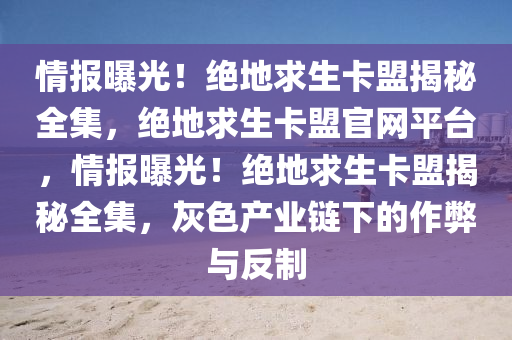 情报曝光！绝地求生卡盟揭秘全集，绝地求生卡盟官网平台，情报曝光！绝地求生卡盟揭秘全集，灰色产业链下的作弊与反制