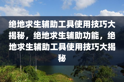 绝地求生辅助工具使用技巧大揭秘，绝地求生辅助功能，绝地求生辅助工具使用技巧大揭秘