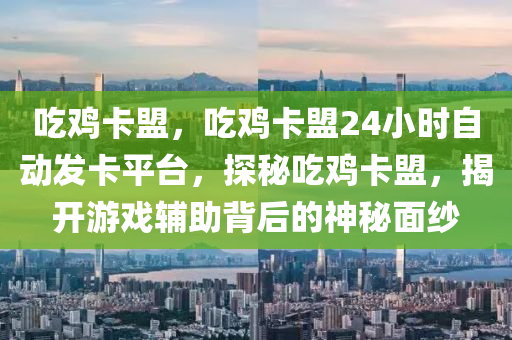 吃鸡卡盟，吃鸡卡盟24小时自动发卡平台，探秘吃鸡卡盟，揭开游戏辅助背后的神秘面纱
