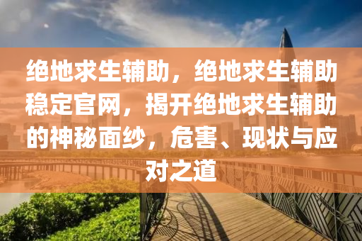 绝地求生辅助，绝地求生辅助稳定官网，揭开绝地求生辅助的神秘面纱，危害、现状与应对之道