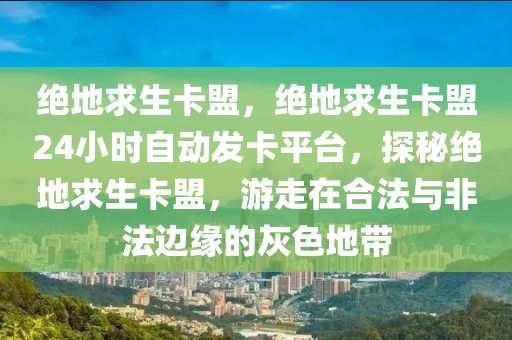 绝地求生卡盟，绝地求生卡盟24小时自动发卡平台，探秘绝地求生卡盟，游走在合法与非法边缘的灰色地带