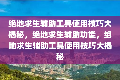 绝地求生辅助工具使用技巧大揭秘，绝地求生辅助功能，绝地求生辅助工具使用技巧大揭秘
