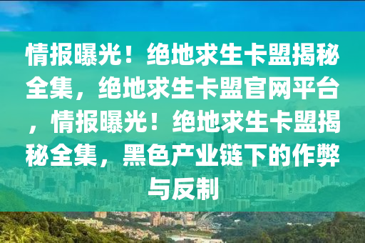 情报曝光！绝地求生卡盟揭秘全集，绝地求生卡盟官网平台，情报曝光！绝地求生卡盟揭秘全集，黑色产业链下的作弊与反制
