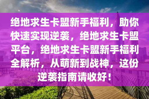 绝地求生卡盟新手福利，助你快速实现逆袭，绝地求生卡盟平台，绝地求生卡盟新手福利全解析，从萌新到战神，这份逆袭指南请收好！