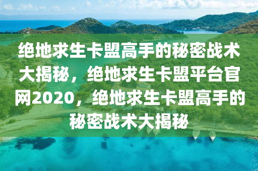 绝地求生卡盟高手的秘密战术大揭秘，绝地求生卡盟平台官网2020，绝地求生卡盟高手的秘密战术大揭秘