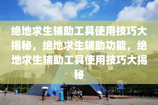 绝地求生辅助工具使用技巧大揭秘，绝地求生辅助功能，绝地求生辅助工具使用技巧大揭秘