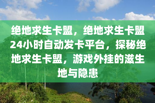 绝地求生卡盟，绝地求生卡盟24小时自动发卡平台，探秘绝地求生卡盟，游戏外挂的滋生地与隐患