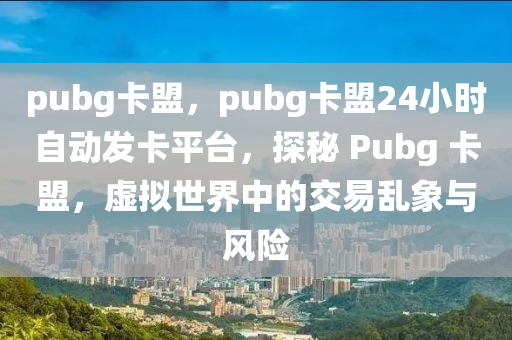 pubg卡盟，pubg卡盟24小时自动发卡平台，探秘 Pubg 卡盟，虚拟世界中的交易乱象与风险