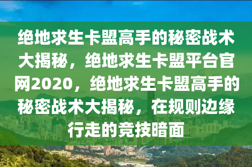 绝地求生卡盟高手的秘密战术大揭秘，绝地求生卡盟平台官网2020，绝地求生卡盟高手的秘密战术大揭秘，在规则边缘行走的竞技暗面