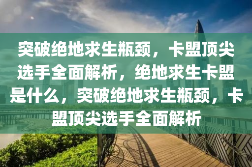 突破绝地求生瓶颈，卡盟顶尖选手全面解析，绝地求生卡盟是什么，突破绝地求生瓶颈，卡盟顶尖选手全面解析