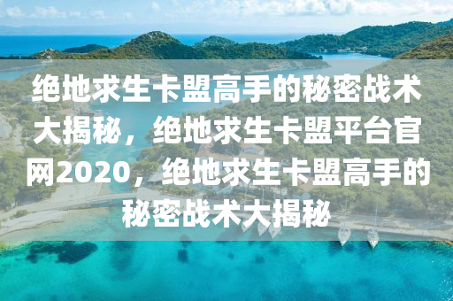 绝地求生卡盟高手的秘密战术大揭秘，绝地求生卡盟平台官网2020，绝地求生卡盟高手的秘密战术大揭秘