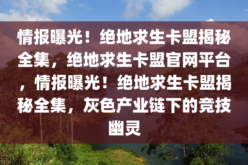 情报曝光！绝地求生卡盟揭秘全集，绝地求生卡盟官网平台，情报曝光！绝地求生卡盟揭秘全集，灰色产业链下的竞技幽灵