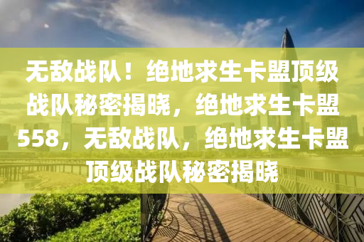 无敌战队！绝地求生卡盟顶级战队秘密揭晓，绝地求生卡盟558，无敌战队，绝地求生卡盟顶级战队秘密揭晓