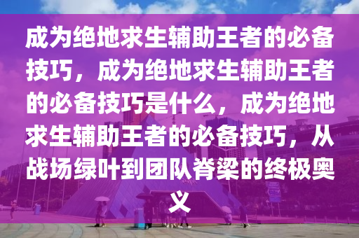 成为绝地求生辅助王者的必备技巧，成为绝地求生辅助王者的必备技巧是什么，成为绝地求生辅助王者的必备技巧，从战场绿叶到团队脊梁的终极奥义