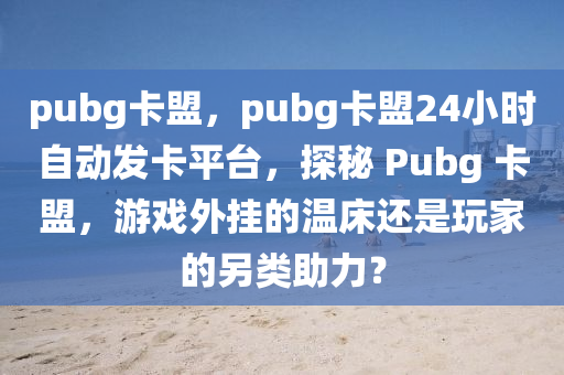 pubg卡盟，pubg卡盟24小时自动发卡平台，探秘 Pubg 卡盟，游戏外挂的温床还是玩家的另类助力？