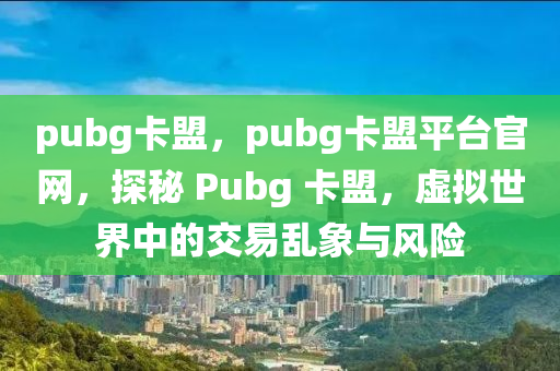pubg卡盟，pubg卡盟平台官网，探秘 Pubg 卡盟，虚拟世界中的交易乱象与风险
