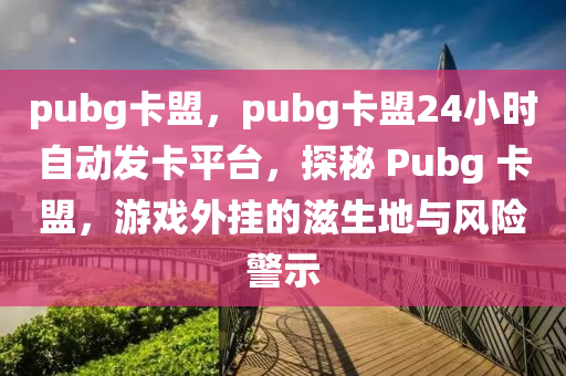 pubg卡盟，pubg卡盟24小时自动发卡平台，探秘 Pubg 卡盟，游戏外挂的滋生地与风险警示