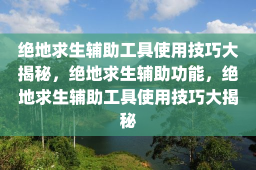 绝地求生辅助工具使用技巧大揭秘，绝地求生辅助功能，绝地求生辅助工具使用技巧大揭秘
