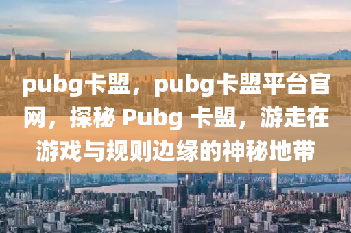 pubg卡盟，pubg卡盟平台官网，探秘 Pubg 卡盟，游走在游戏与规则边缘的神秘地带