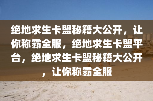 绝地求生卡盟秘籍大公开，让你称霸全服，绝地求生卡盟平台，绝地求生卡盟秘籍大公开，让你称霸全服