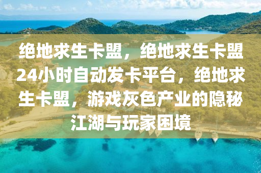 绝地求生卡盟，绝地求生卡盟24小时自动发卡平台，绝地求生卡盟，游戏灰色产业的隐秘江湖与玩家困境