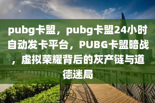 pubg卡盟，pubg卡盟24小时自动发卡平台，PUBG卡盟暗战，虚拟荣耀背后的灰产链与道德迷局