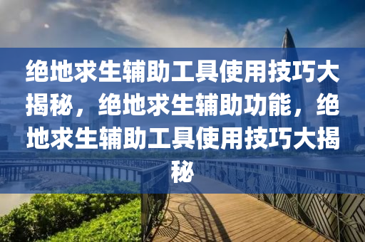 绝地求生辅助工具使用技巧大揭秘，绝地求生辅助功能，绝地求生辅助工具使用技巧大揭秘