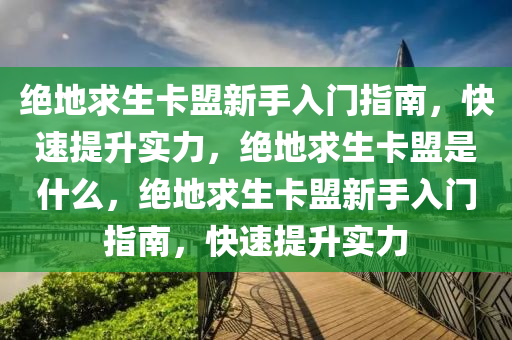 绝地求生卡盟新手入门指南，快速提升实力，绝地求生卡盟是什么，绝地求生卡盟新手入门指南，快速提升实力