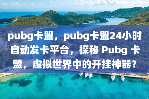 pubg卡盟，pubg卡盟24小时自动发卡平台，探秘 Pubg 卡盟，虚拟世界中的开挂神器？