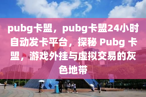 pubg卡盟，pubg卡盟24小时自动发卡平台，探秘 Pubg 卡盟，游戏外挂与虚拟交易的灰色地带