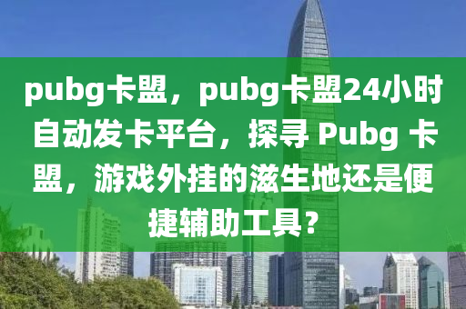 pubg卡盟，pubg卡盟24小时自动发卡平台，探寻 Pubg 卡盟，游戏外挂的滋生地还是便捷辅助工具？