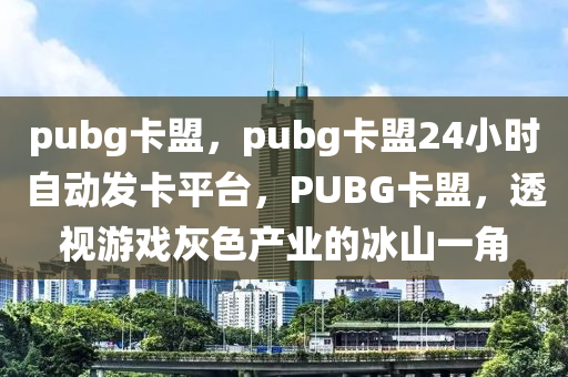 pubg卡盟，pubg卡盟24小时自动发卡平台，PUBG卡盟，透视游戏灰色产业的冰山一角