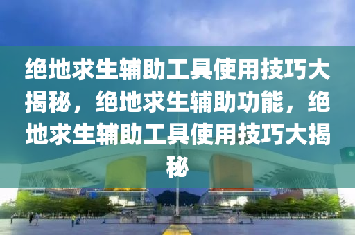 绝地求生辅助工具使用技巧大揭秘，绝地求生辅助功能，绝地求生辅助工具使用技巧大揭秘