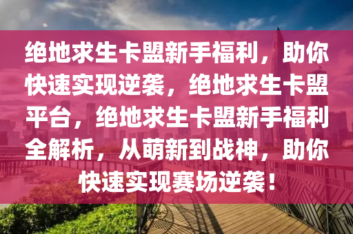 绝地求生卡盟新手福利，助你快速实现逆袭，绝地求生卡盟平台，绝地求生卡盟新手福利全解析，从萌新到战神，助你快速实现赛场逆袭！