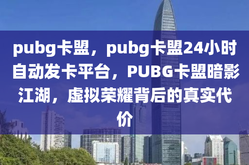 pubg卡盟，pubg卡盟24小时自动发卡平台，PUBG卡盟暗影江湖，虚拟荣耀背后的真实代价
