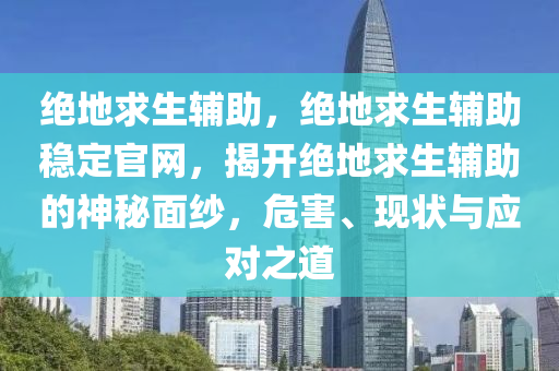 绝地求生辅助，绝地求生辅助稳定官网，揭开绝地求生辅助的神秘面纱，危害、现状与应对之道