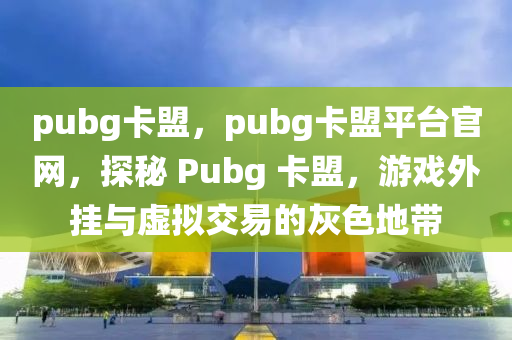 pubg卡盟，pubg卡盟平台官网，探秘 Pubg 卡盟，游戏外挂与虚拟交易的灰色地带