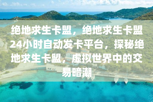 绝地求生卡盟，绝地求生卡盟24小时自动发卡平台，探秘绝地求生卡盟，虚拟世界中的交易暗潮