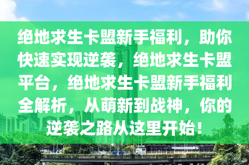 绝地求生卡盟新手福利，助你快速实现逆袭，绝地求生卡盟平台，绝地求生卡盟新手福利全解析，从萌新到战神，你的逆袭之路从这里开始！
