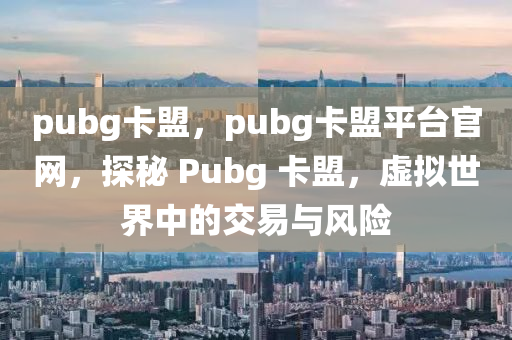 pubg卡盟，pubg卡盟平台官网，探秘 Pubg 卡盟，虚拟世界中的交易与风险
