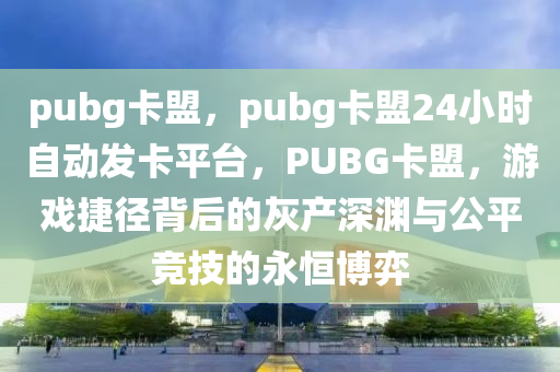 pubg卡盟，pubg卡盟24小时自动发卡平台，PUBG卡盟，游戏捷径背后的灰产深渊与公平竞技的永恒博弈