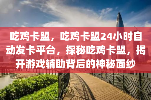 吃鸡卡盟，吃鸡卡盟24小时自动发卡平台，探秘吃鸡卡盟，揭开游戏辅助背后的神秘面纱