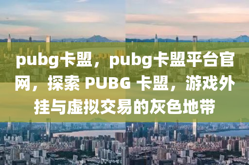 pubg卡盟，pubg卡盟平台官网，探索 PUBG 卡盟，游戏外挂与虚拟交易的灰色地带