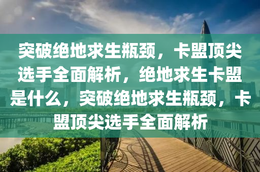 突破绝地求生瓶颈，卡盟顶尖选手全面解析，绝地求生卡盟是什么，突破绝地求生瓶颈，卡盟顶尖选手全面解析